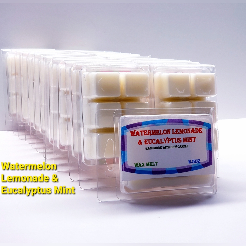 WATERMELON LEMONADE & EUCALYPTUSMINT -Bath & Body Works Candle Wax Melts- $8